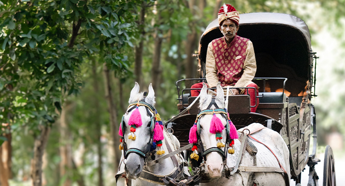 Aahana Resort - Buggy ride in Jim Corbettt