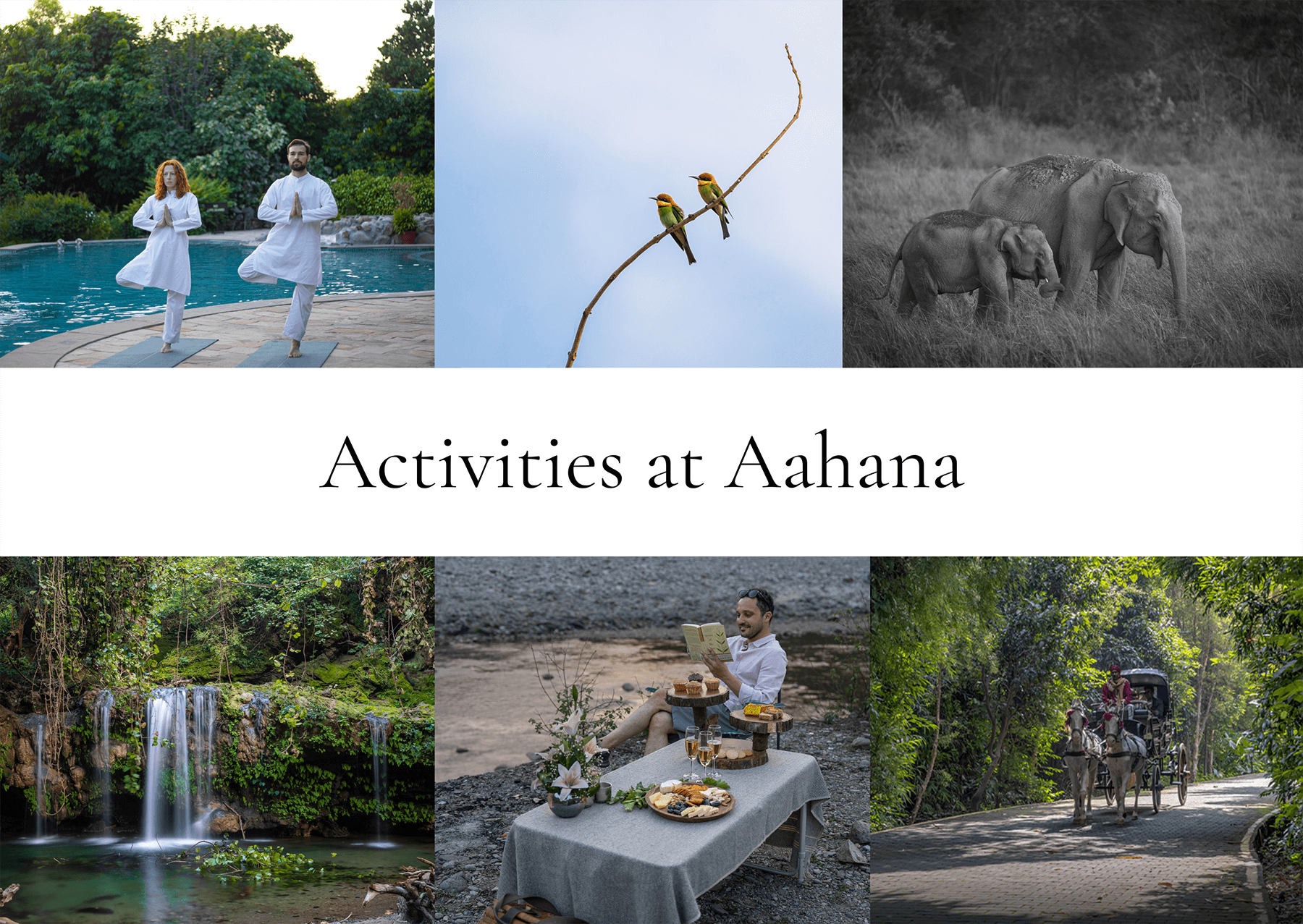 Activities at Aahana