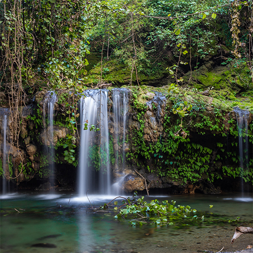Scenic Waterfall Hikes