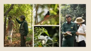 Collage of Birding at Aahana 
