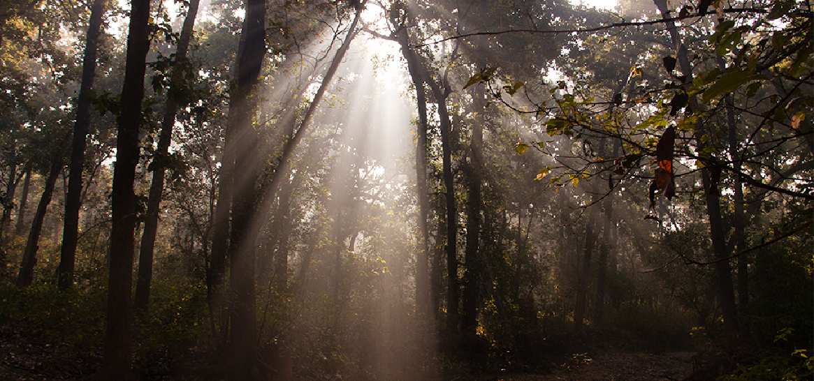 Winter’s Wild Tale Encountering the wilderness at the heart of Aahana 1 blog 1 image 1
