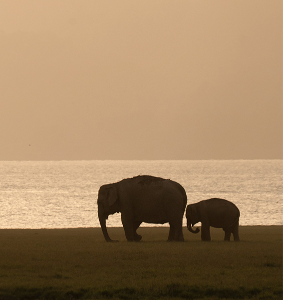 Winter’s Wild Tale Encountering the wilderness at the heart of Aahana 5 blog 1 img 5