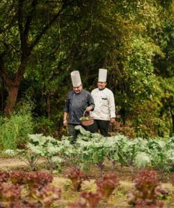 Organic farm at Aahana resort