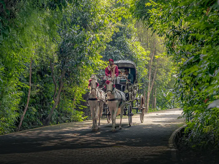 Horser driven buggy ride at Aahana resort