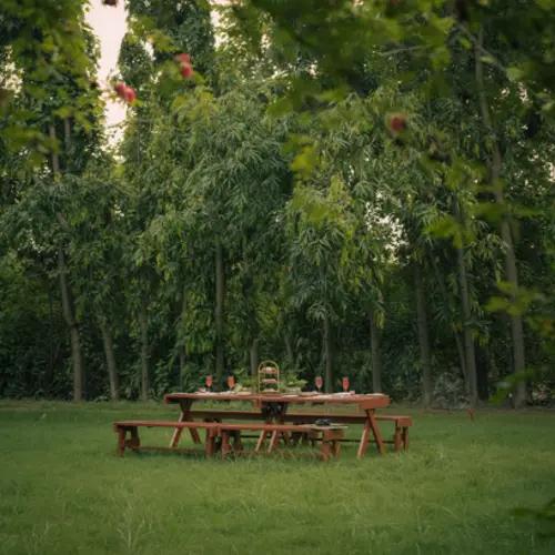 outdoor dining at Aahana