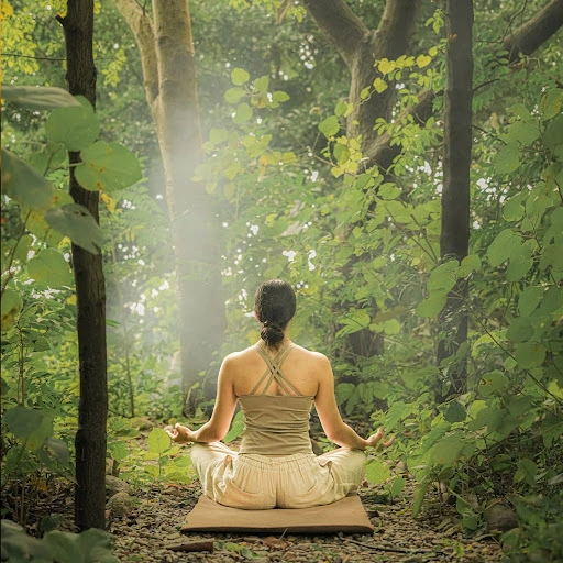 wellness retreat in jim corbett