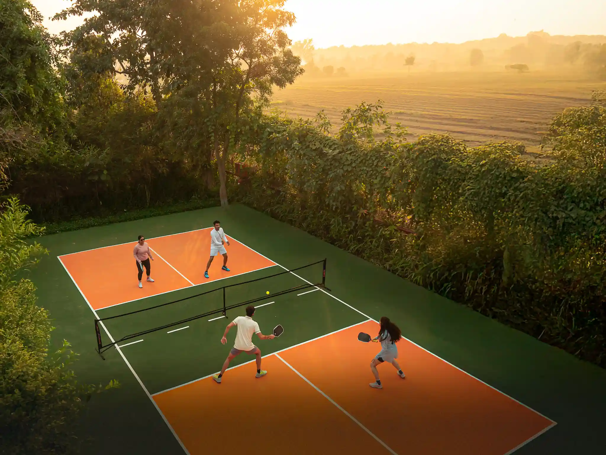 Pickleball court in the forest