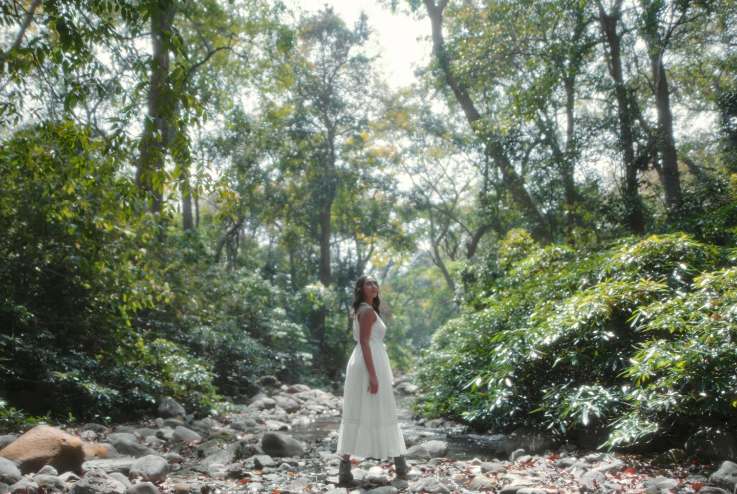 Guest walking through a forest trail in Jim Corbett