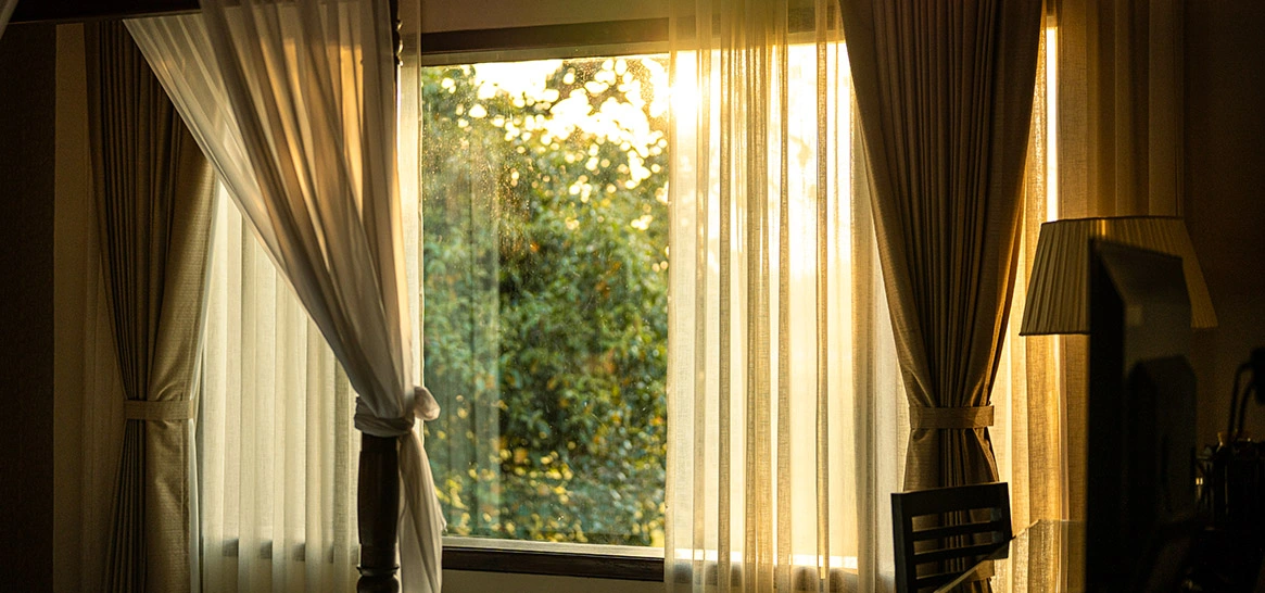 Forest view from a spacious room