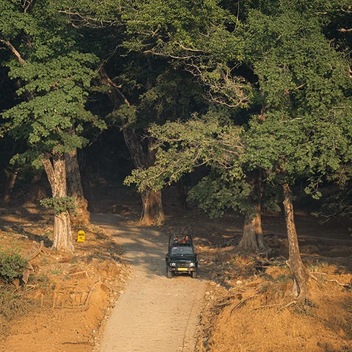 Jhirna zone