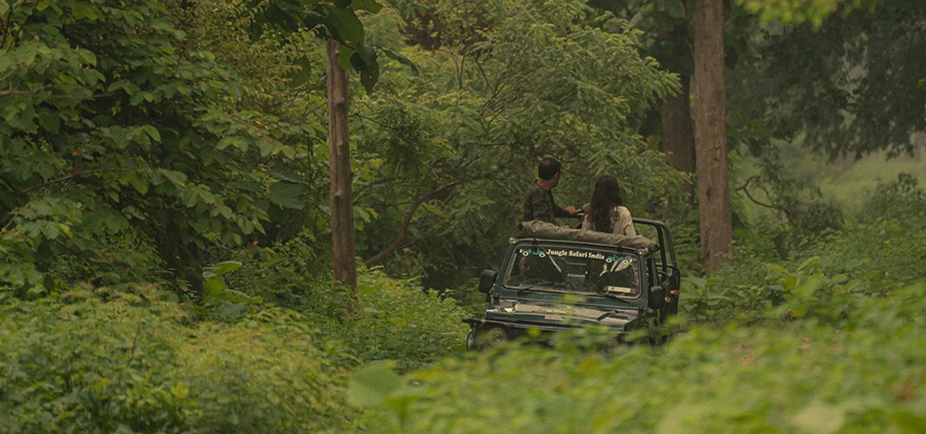 safari in jim corbett