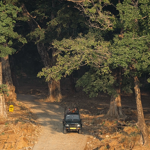 jeep safari in jim corbett