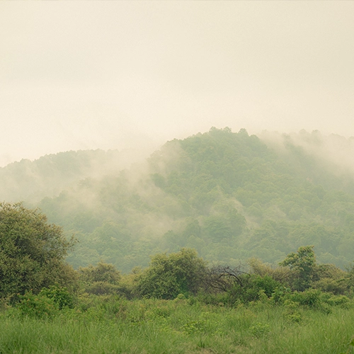 jim corbett in monsoon