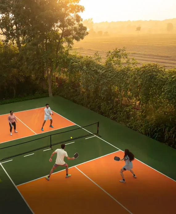 Pickleball court in the forest